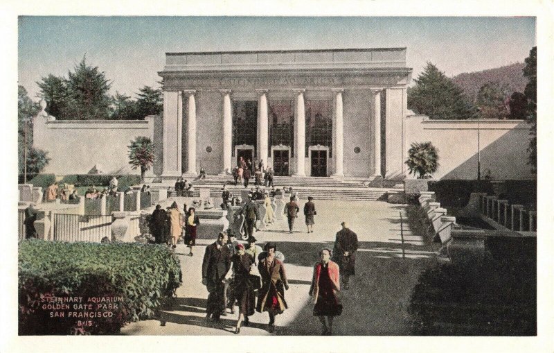 c.1930's Steinhart Aquarium Golden Gate Park California Postcard 2T7-124