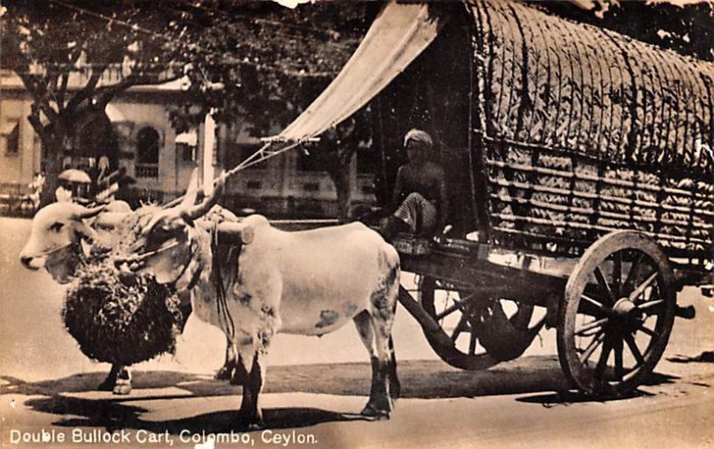 Double Bullock Cart Colombo Ceylon, Ceylan Writing on back 