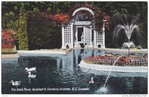 The Duck Pond, Butchart´s Gardens, VICTORIA, B.C., Canada, 1900-1910s