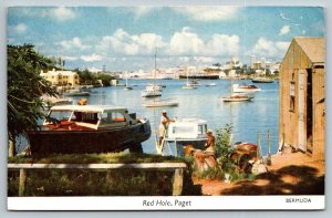 1958  Bermuda  Red Hole  Paget   Postcard