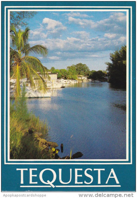 Waterway Scene Tequesta Florida