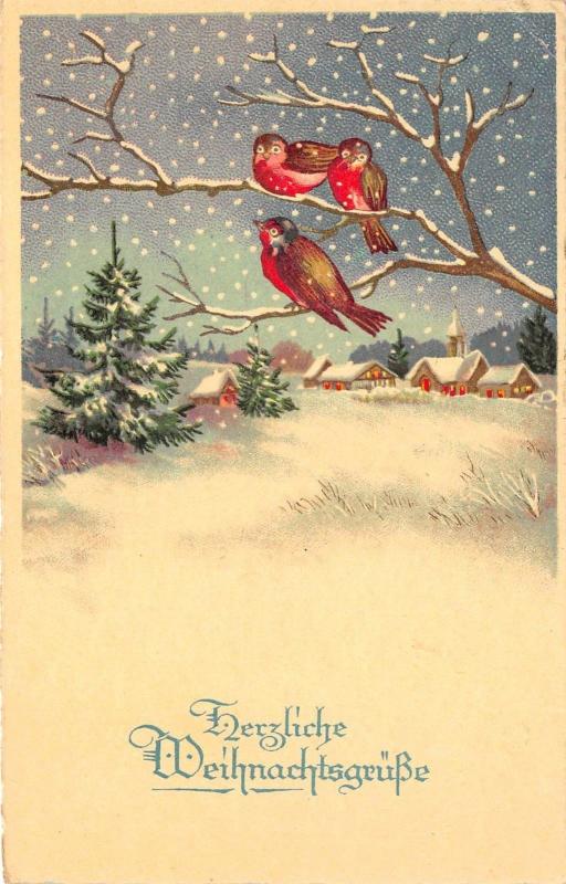 BG14597 weihnachten christmas bird on tree  germany