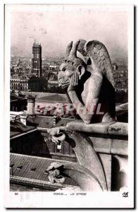 Paris Old Postcard The striga