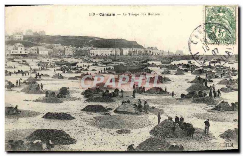 Old Postcard Cancale Sorting Oysters oyster farming