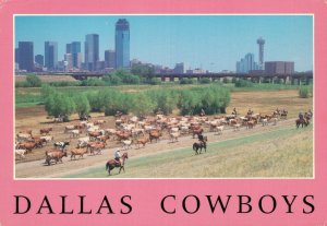 USA Texas Dallas Cowboys Horses Vintage Postcard BS.10