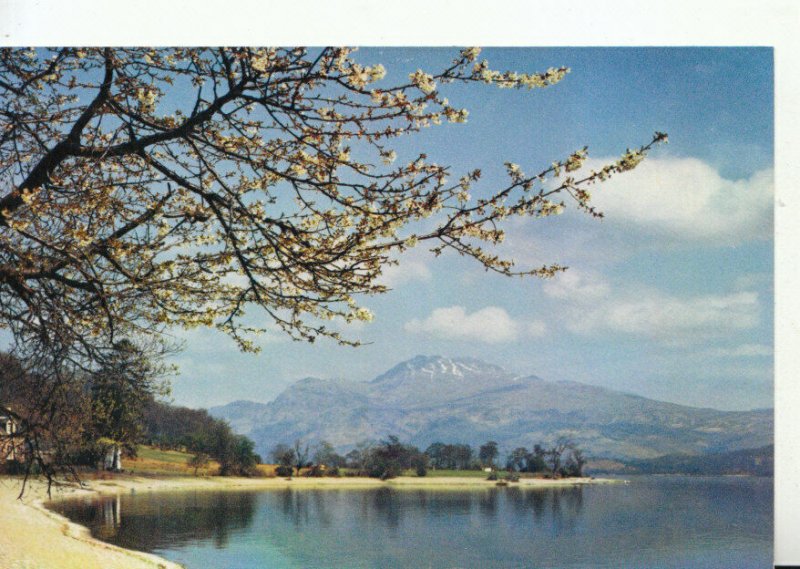 Scotland Postcard - Loch Lomond and Ben Lomond from Luss - Dunbartonshire TZ8727