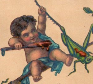 1870s-80s Dalley's Magical Pain Extractor Fairy Cherub & Grasshoppers P209