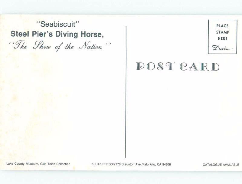 Pre-1980 SEABISCUIT THE DIVING HORSE AT STEEL PIER Atlantic City NJ E7134