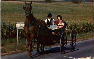 Pennsylvania Amish Country Amish Family With Their Horse and Buggy On A Sunday