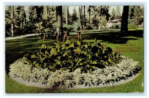 Canna Bed Natatorium Park Spokane Washington 1914 Spangle Postcard 