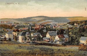 Town View Liberty, New York NY