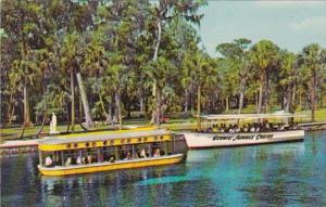 Florida Silver Springs Glass Bottom Boat and Jungle Cruise