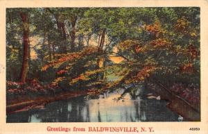 Baldwinsville New York Scenic Waterfront Greeting Antique Postcard K91693