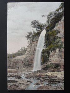 Somerset ST ANDRIES WATERFALL c1905 by F. Frith & Co 50464