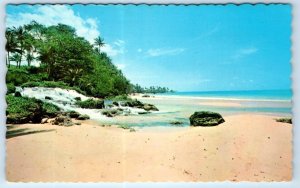 Beautiful JAMAICA beach 'home of wood and water' Postcard