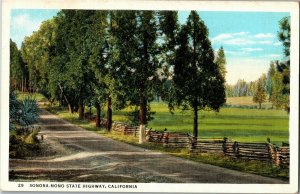 Sonora-Mono State Highway, CA Vintage Postcard K36