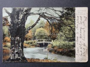 Hampshire: Queenswood Bower NEW FORSET shows Bridge c1903 by F.G.O.Stuart No.781