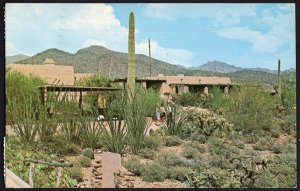 Arizona TUCSON Sonora Desert Museum - pm1964 - Chrome