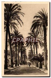 Hyeres - Avenue of Belgium Old Postcard