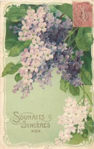 CPA fleurs gauffre embossed lilac flowers fantasy