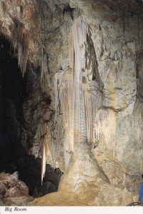New Mexico The Big Room Carlsbad Caverns National Park