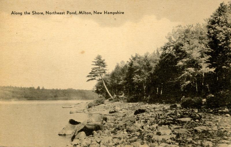 NH - Milton. Northeast Pond, along the Shore