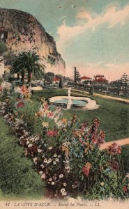 La Cote D'Azur Massif De Fleurs Flower Gardens Riviera France Vintage Postcard