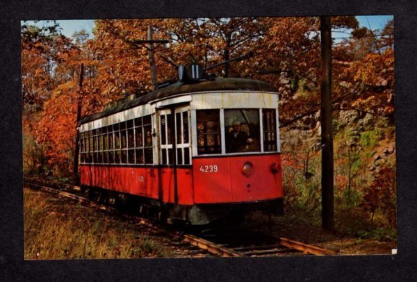 NY Trolley Car Manhattan New York City Vienna Austria Postcard NYC PC