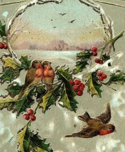 1907- 15 A Joyful Christmas Postcard Song Birds Holly Berries Gold Glitter 
