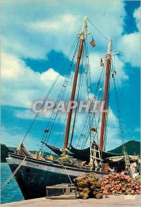 Postcard Modern Antilles Radieuses Boarding copra boat