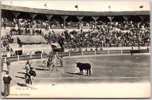 Cite A La Vara Cumbo Gibraltar Bull Fighting Arena Antique Postcard