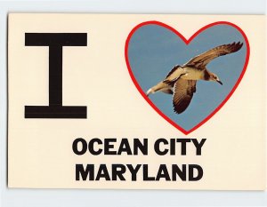 Postcard Greetings from White Marlin Capital I Love Ocean City Maryland USA