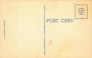 C-65 Ray Walters Comic Just Scratching Off A Line or Two Curt Teich Postcard