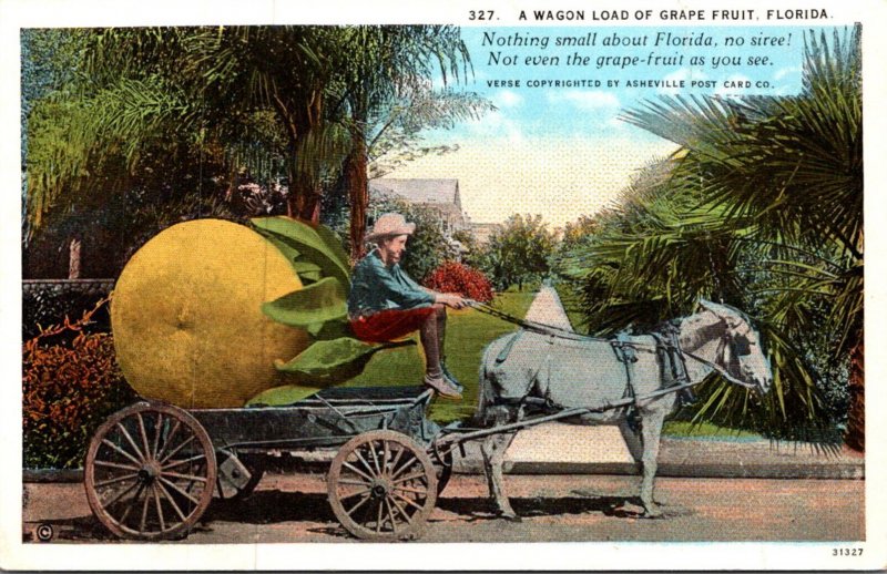 Florida Exageration A Wagon LOad Of Grape Fruit Curteich