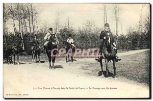 Postcard Old Hunting Dog Hunting Dogs has a hounds in the forest of Dreux The...