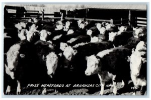 c1910 Prize Herefords Animal Exterior Arkansas City Kansas KS Vintage Postcard