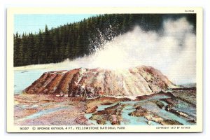 Sponge Geyser 4 Ft. Yellowstone National Park Wyoming Postcard