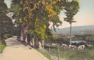 Vermont Wallingford Elfin Lake and Coolidge Range From West Hill Road Hancolo...