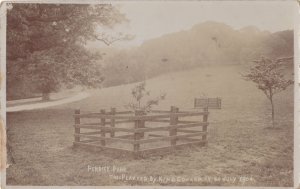 Penrice Park Leven 1904 King Edward VII Tree Scottish Real Photo Postcard