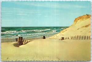 M-99166 Indiana Dunes National Lakeshore Indiana USA