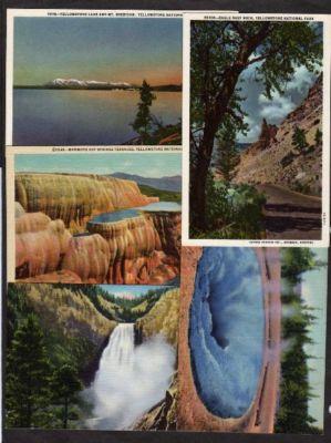 Lot 5 older Yellowstone National Nat Park Postcards PC