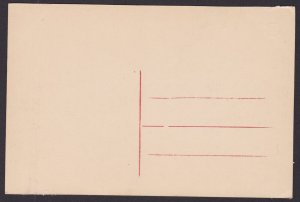 BELGIUM, Postcard, Visé, Rue de Perron, Unposted