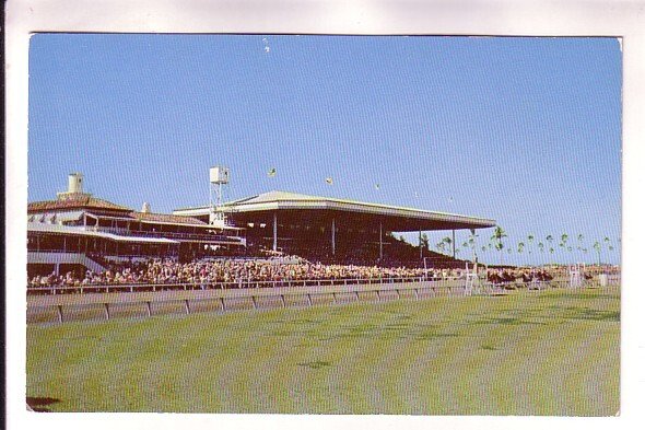 Race Track, Horses, People in Stands, Tropical Park, Coral Gables, Florida