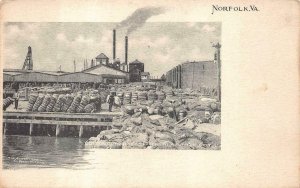 COTTON COMPRESS & DOCKS ATLANTIC CITY NORFOLK VIRGINIA POSTCARD (c. 1905) 