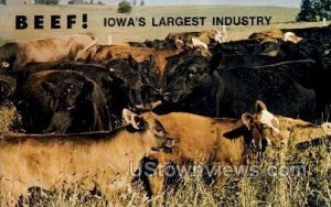 Iowa Beef Industry Council - Ames  