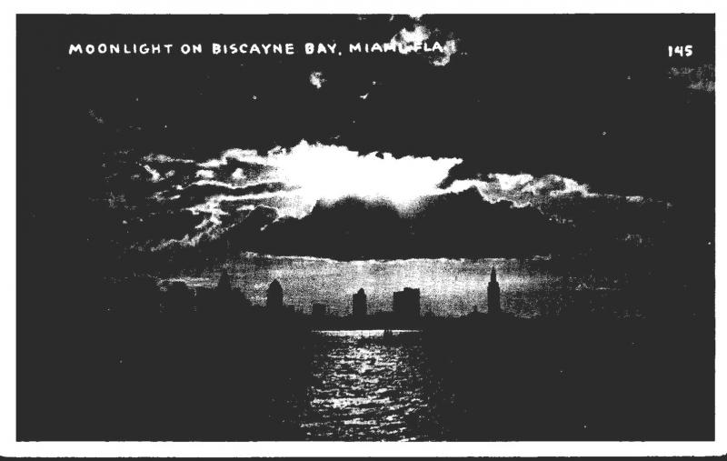 Florida Miami Moonlight On Biscayne Bay