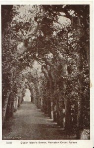 Middlesex Postcard - Queen Mary's Bower - Hampton Court Palace - Ref TZ4512