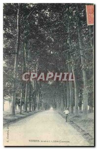 Old Postcard Yerres S and O Allee Couvelle