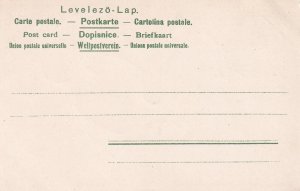 Greetings Humanized Maybug Bird Plants Flower Glitter Novelty postcard C316