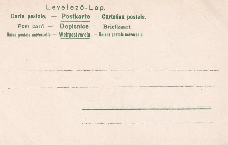 Greetings Humanized Maybug Bird Plants Flower Glitter Novelty postcard C316